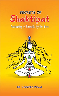 Secrets of Shaktipat: Awakening of Kundalini by the Guru (hardcover) - Image 2