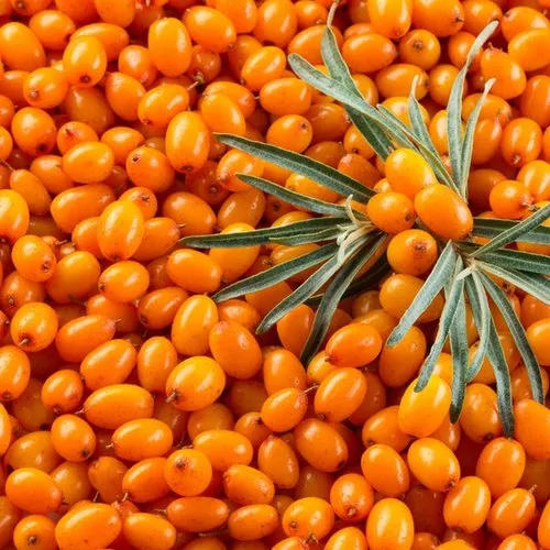 Organix Ladakh Seabuckthorn Cream - Image 3