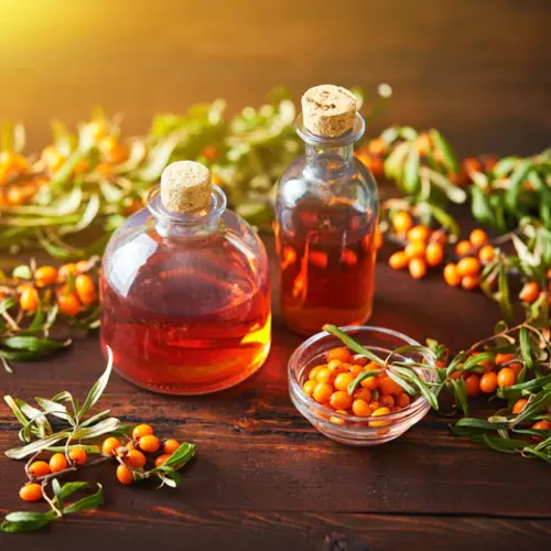 Organix Seabuckthorn Oil - Image 3